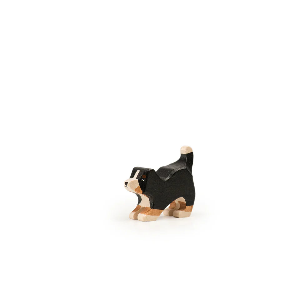 Bernersennenhundfamilie