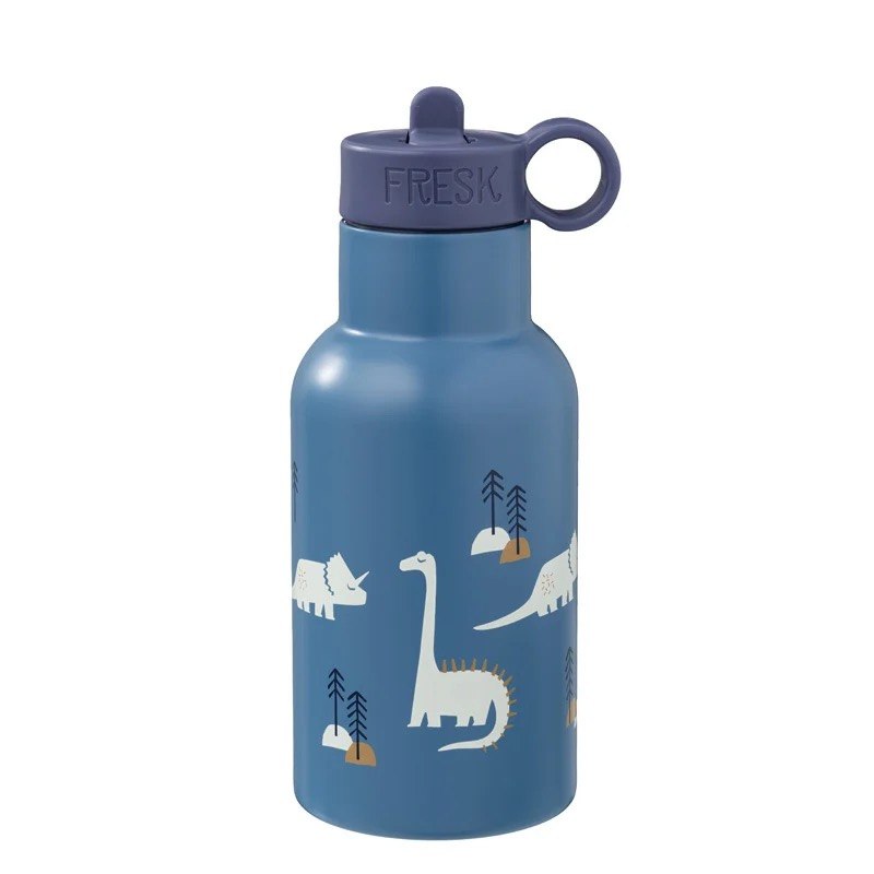 Trinkflasche Dino