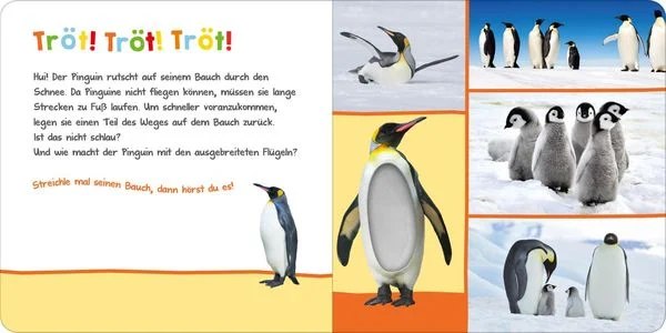 Hör mal rein, wer kann das sein? Im Winter