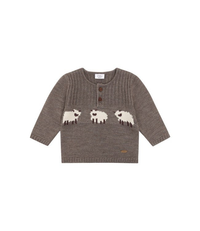Pullover Wool Sheep