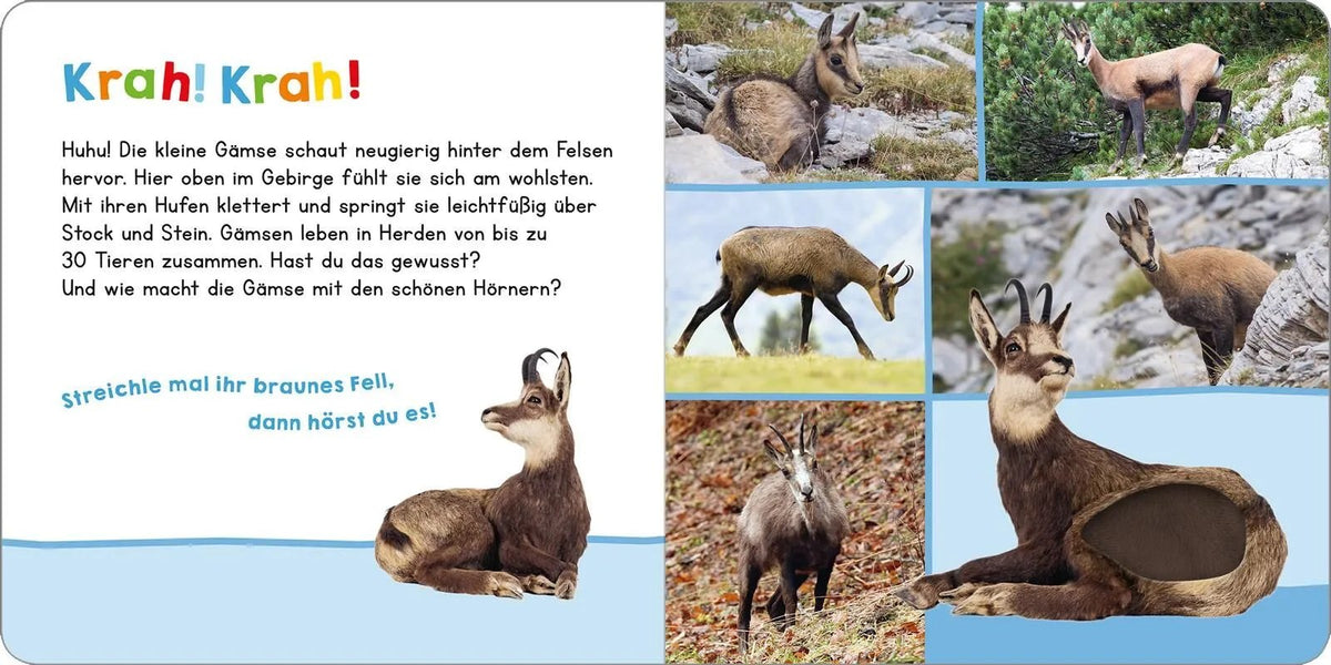 Hör mal rein, wer kann das sein? In den Bergen
