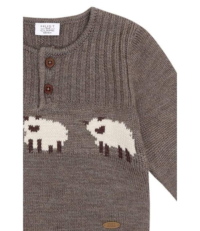 Pullover Wool Sheep
