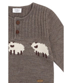 Pullover Wool Sheep